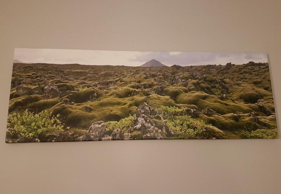 Ubak Guesthouse Reykjavík Exteriör bild